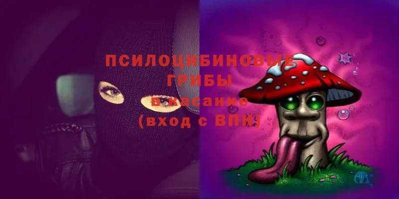 Псилоцибиновые грибы Magic Shrooms  где купить наркотик  Зеленоградск 